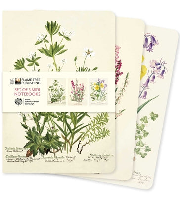 Royal Botanic Garden Edinburgh Set of 3 MIDI Notebooks product image