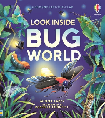 Look Inside Bug World by Minna Lacey book cover