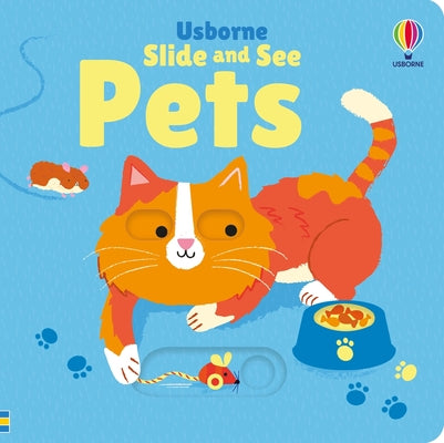 Slide and See Pets by Fiona Watt book cover