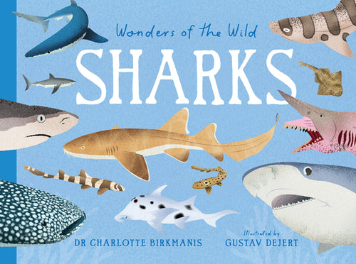Wonders of the Wild: Sharks by Charlotte Birkmanis book cover