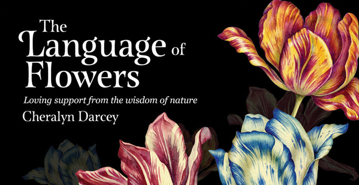 Book cover of The Language of Flowers: Loving Support from the Wisdom of Nature by Darcey, Cheralyn
