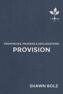 Book cover of Provision: Prophecies, Prayers & Declarations Volume 2 by Bolz, Shawn
