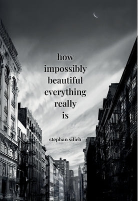 Book cover of How Impossibly Beautiful Everything Really Is by Silich, Stephan