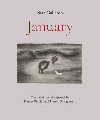 January by Sara Gallardo book cover