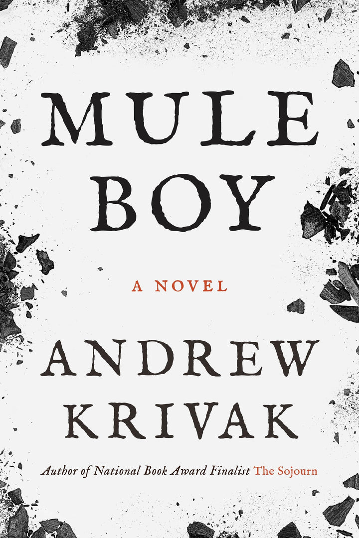 Book cover of Mule Boy by Krivak, Andrew