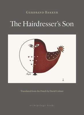 The Hairdresser's Son by Gerbrand Bakker book cover