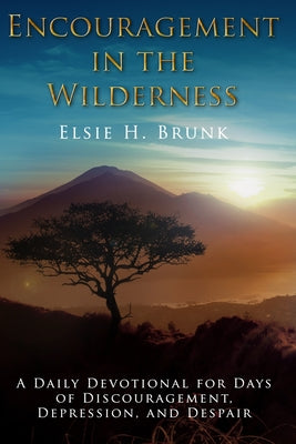 Encouragement in the Wilderness: A Daily Devotional for Days of Discouragement, Depression, and Despair by Elsie H. Brunk book cover