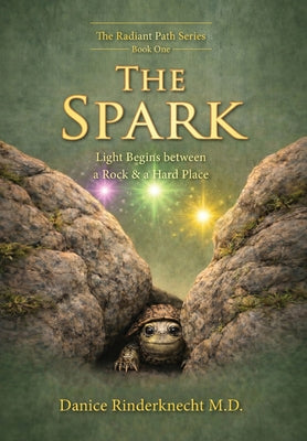 The Spark: Light Begins between a Rock and a Hard Place by Danice Rinderknecht book cover
