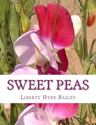 Book cover of Sweet Peas by Chambers, Roger