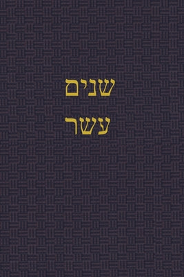 The Book of the Twelve: A Journal for the Hebrew Scriptures by J. Alexander Rutherford book cover