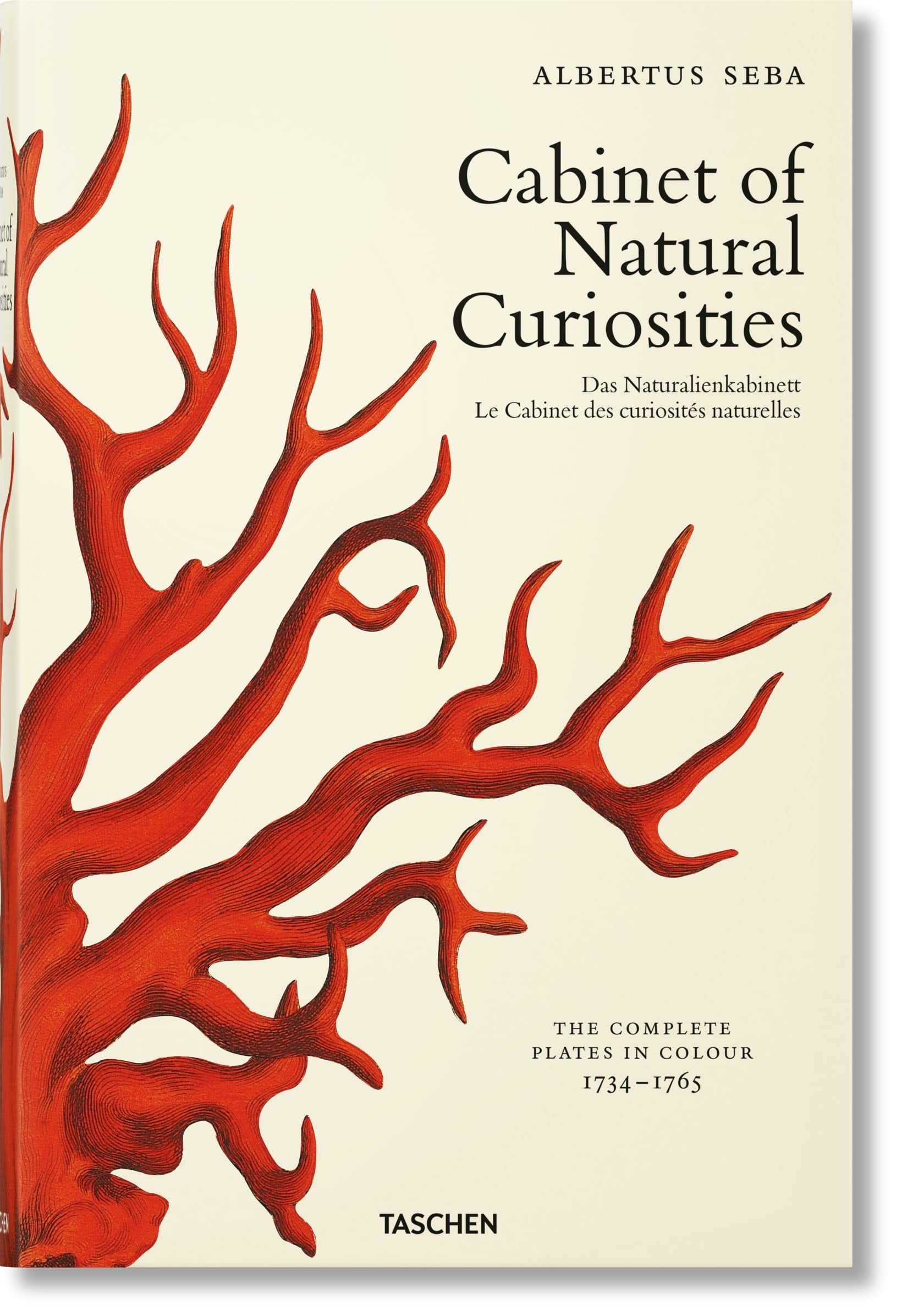Book cover of Seba. Cabinet of Natural Curiosities by M