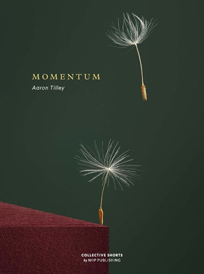 Book cover of Momentum by Tilley, Aaron