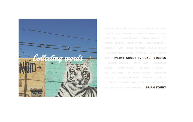 Book cover of Collecting Words: Short Visual Stories by Fouhy, Brian