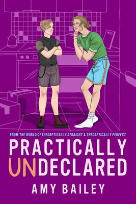 Practically Undeclared: From The World of Theoretically Straight by Amy Bailey book cover