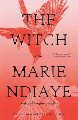 Book cover of The Witch by NDiaye, Marie