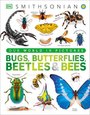 Book cover of Bugs, Butterflies, Beetles and Bees: A Visual Bug and Insect Encyclopedia for Kids by DK