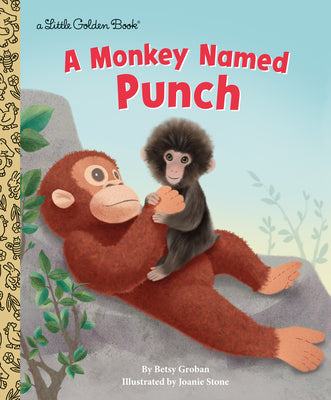 A Monkey Named Punch by Betsy Groban book cover