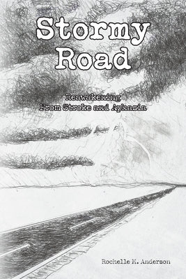 Stormy Road: Reawakening From Stroke and Aphasia by Rochelle M. Anderson book cover