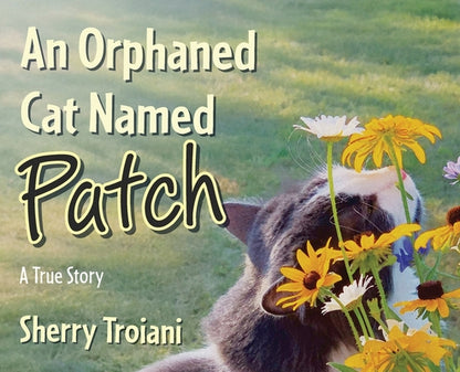 An Orphaned Cat Named Patch: A True Story by Sherry Troiani book cover