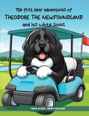 The First Year Adventures Of Theodore The Newfoundland And His White Socks by Maria Rossini Karen Martone book cover