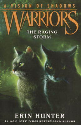 Book cover of Raging Storm by Hunter, Erin