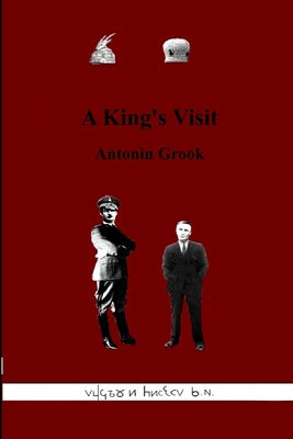 Book cover of A King's Visit by Grook, Antonin