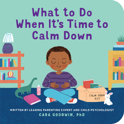 What to Do When It's Time to Calm Down by Goodwin, Cara, PhD book cover