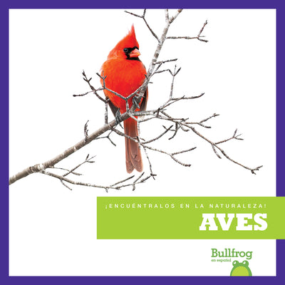 Book cover of Aves (Birds) by Gleisner, Jenna Lee