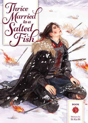Thrice Married to a Salted Fish (Novel) Vol. 3 by Bi Ka Bi book cover