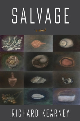 Salvage by Richard Kearney book cover