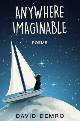 Book cover of Anywhere Imaginable by Demro, David